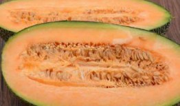 吃头孢可以吃哈密瓜吗,食用禁忌解析