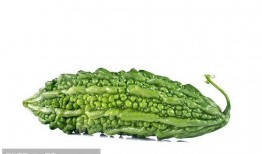 滑稽吃瓜高清,高清镜头下的欢乐瞬间