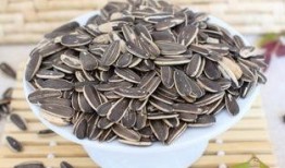 鹤轩嗑瓜子吃瓜,揭秘娱乐圈的甜蜜与苦涩