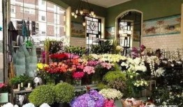 花店老板吃瓜下载,揭秘花店背后的趣味故事