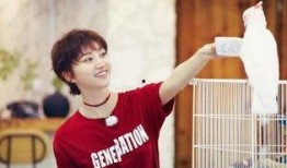 吃瓜考古王源,吃瓜考古背后的青春偶像成长记