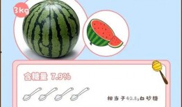 安全吃瓜指南请收好,轻松应对网络信息，守护个人隐私