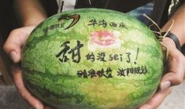 吃瓜恐龙吃花,吃瓜恐龙与花间奇遇