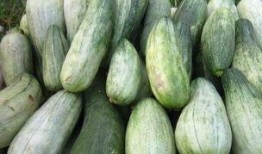吃嫩瓜的好处,揭秘吃嫩瓜的五大好处