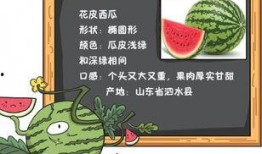吃瓜读稿,揭秘娱乐圈幕后故事