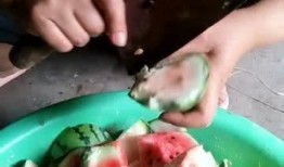 吃妈妈的瓜,回忆与成长的温馨篇章