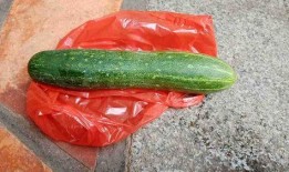 有瓜该怎么吃,教你如何正确享用各种瓜类