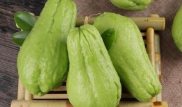 佛手瓜蘸碟吃,创意蘸碟，开启味蕾新体验