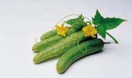 吃瓜最忌吃单边瓜是什么,品味双面瓜果，享受人生百味