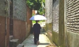 徽州姑娘吃瓜事件,地域文化碰撞下的网络现象解析