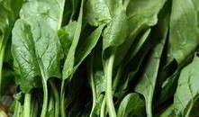 吃葫芦瓜可以吃菠菜吗,探索健康饮食的完美搭配