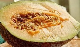 吃鸡肉可以吃哈密瓜吗,营养互补的美食探索