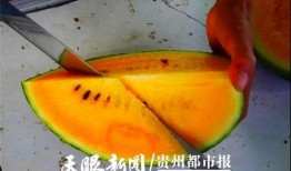 贵阳情侣吃瓜事件,一场网络热议背后的真相揭秘