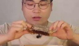 豪放哥吃哈密瓜,尽享夏日清凉时光