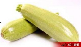 吃南瓜可以吃茭瓜吗,能否共享餐桌？