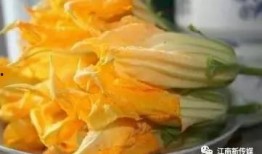 花一吃瓜回放,揭秘娱乐圈幕后真相