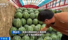 满穗吃瓜,揭秘瓜果种植的甜蜜奥秘