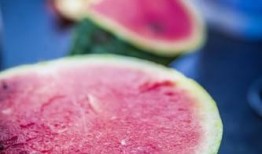 优秀吃瓜人,探寻优秀吃瓜者的智慧人生