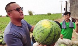 富宁吃瓜新闻事件,一场网络舆论的风暴与反思