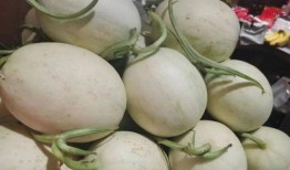 吃瓜双顶流,揭秘吃瓜双顶流的传奇故事