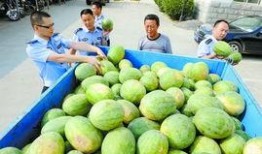 QQ吃瓜群内黄,揭秘网络黄生现象背后的真相