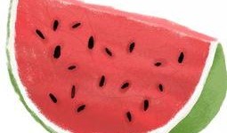 优秀吃瓜人,探寻优秀吃瓜者的智慧人生