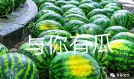 西林大学吃瓜原视频,一场校园风云录