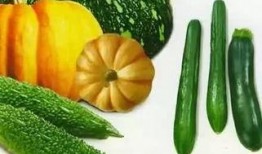 mi宝吃瓜,揭秘娱乐圈幕后故事