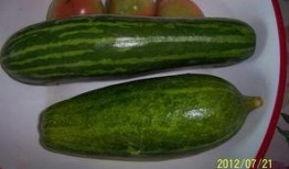 江西周劼吃瓜,揭秘“富二代”的奢华生活与争议事件