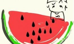 人吃瓜怎么画图文,图文并茂的生动描绘