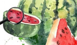 吃瓜总结乙游,吃瓜群众的狂欢盛宴