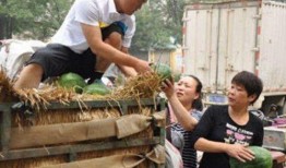 秀才吃卖瓜摊老板的瓜,智慧化解尴尬场面