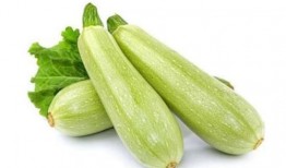 西葫芦的瓜怎么吃