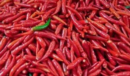 把辣椒当成瓜吃