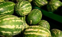 孟州吃瓜事件,一场引发社会热议的网络风波