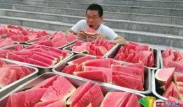 哈尔滨高校吃瓜,哈尔滨高校美食风云录