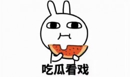 带你吃瓜满级人类,带你领略“带你吃瓜满级人类”的趣味人生