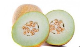 怀孕吃蜜瓜,蜜瓜的营养益处与食用指南