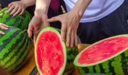 吃瓜改吃土,社会现象的变迁与反思