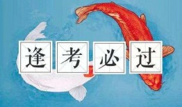 考研锦鲤附身吃瓜,吃瓜群众见证奇迹时刻