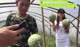 直播吃瓜的群众,揭秘网络直播背后的故事