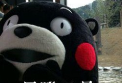 吃瓜群众好心疼,揭秘娱乐圈背后的心酸故事