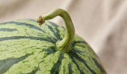 大齐吃瓜,揭秘娱乐圈幕后故事