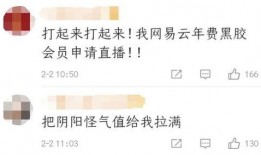 网易云吃瓜日记,揭秘网络热点背后的故事