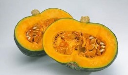 吃南瓜可以吃茭瓜吗,能否共享餐桌？