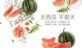夏日吃瓜微信活动