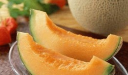 小猫吃哈密瓜呕吐