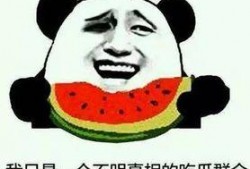 吃瓜还是吃大的好,揭秘美食选择背后的智慧