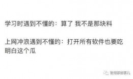 情意吃瓜知乎,吃瓜群众如何解读知乎上的情感故事