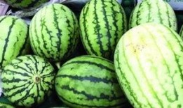 围观着吃瓜,揭秘网络热议背后的真相